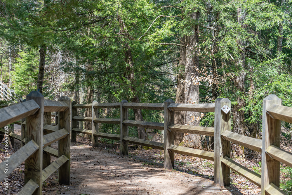 A wooden fence lined walking trail through the forest to the lower Tahquamenon falls in the Upper Peninsula of Michigan. A wooden fence lined walking trail through the forest to the lower Tahquamenon falls in the Upper Peninsula of Michigan.