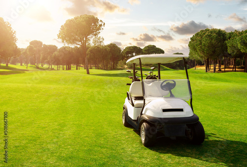 Leinwand Poster Golf cart in fairway of golf course with green grass field with cloudy sky and t