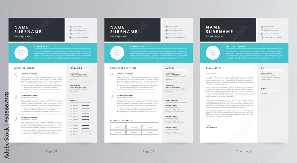 Professional Resume/CV and Cover Letter Template