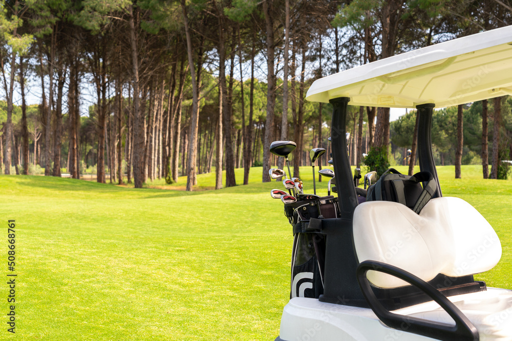 Set of golf clubs in golf bags in the back of a golf cart on a beautiful golf course Set of golf clubs in golf bags in the back of a golf cart on a beautiful golf course