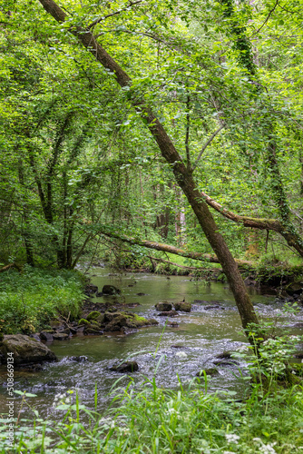 Rivière au fond des Gorges de Villiers au printemps photo