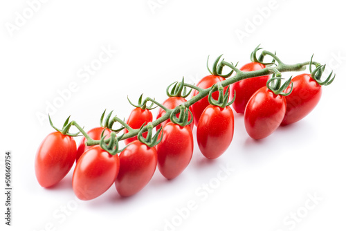 tomates selecionas diversos alta qualidade 