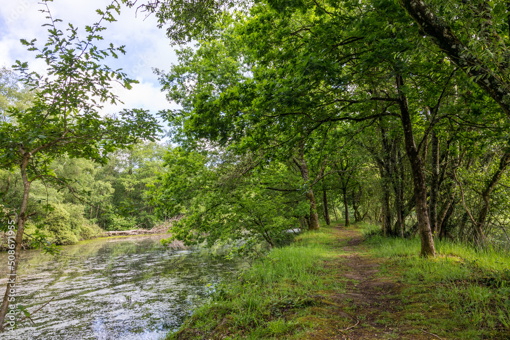 Chemin de randonnée autour du Marais du Grand Hazé à Briouze au printemps Chemin de randonnée autour du Marais du Grand Hazé à Briouze au printemps