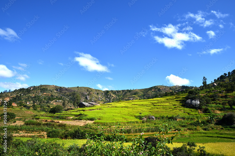 Fototapeta premium Paysage de rêve
