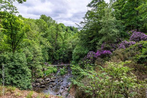 Vue sur la Cance depuis le haut de la Grande Cascade de Mortain photo