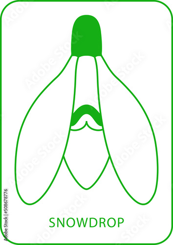 Stylized snowdrop flower icon in green color.