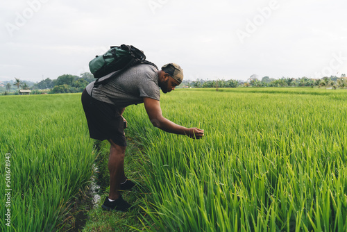 Side view of young male agronomy with travel rucksack standing at path in middle of rice fields exploring international agriculture cultivation, tourist with backpack visiting greenery plantation