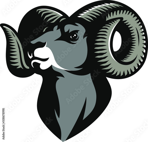 Head of Strong Masculine  Big Horn Sheep