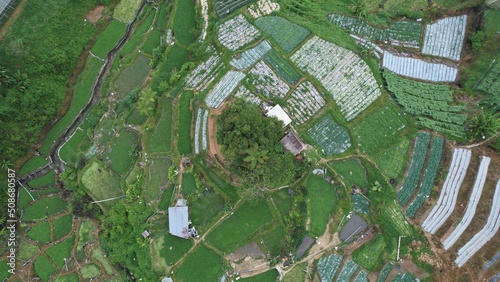 General Landscape View of the Brinchang District Within the Cameron Highlands Area of Malaysia