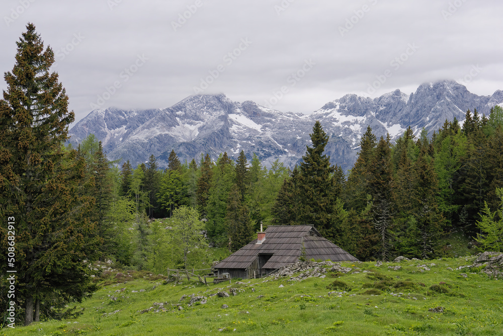 View of traditional Shepard cottage in the valley and the Alps in the background, Velika Planina, Slovenia