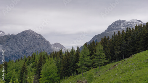 Serene view over the Kamnik Alps with trees in the foreground and the surrounding fog from Velika Planina, Slovenia
