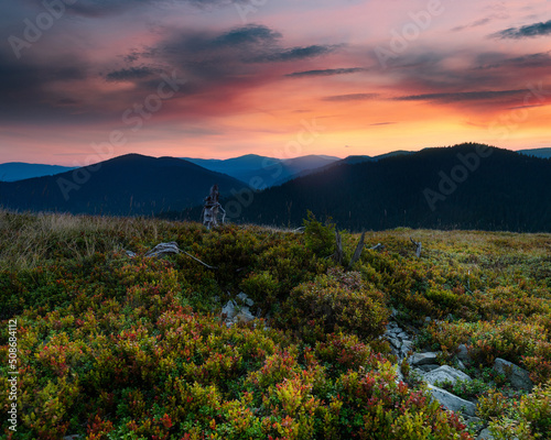 Beautiful mountain landscape at sunrise. View of dramatic colorful sky and hill slope are covered with flowering herbs.