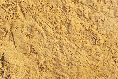 A crab footprints on the sand, animal footprints