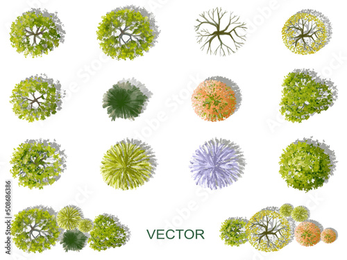 Vector watercolor of blooming tree top view isolated on white background for landscape plan and architecture drawing, elements for environment and garden,botanical elements