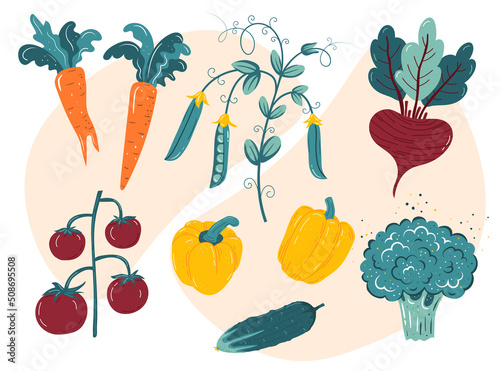 Fresh organic vegetables-pepper, peas, carrot, tomato, cucumber, broccoli, beetroot. Vector illustration, Healthy vegetarian food.