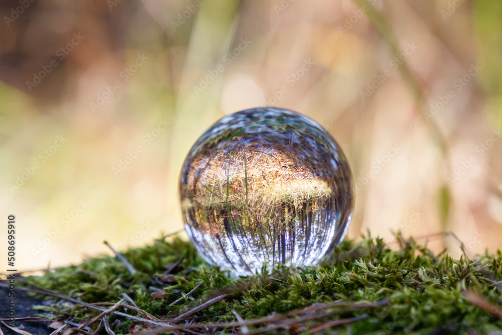 A look at the upside-down world through a ball. The crystal ball lies on the green moss of a tree with a view of the autumn forest. Focus on the crystal ball. Take care of nature. Close-up