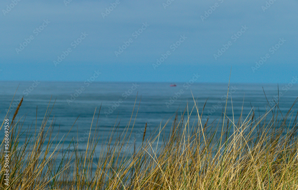 Dünengras vor Meerblick