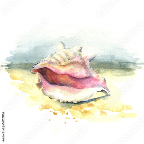 Watercolor sketch shell on the sea coast (ID: 508701186)