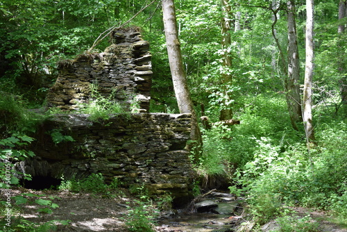 Ruine im Wald, Martental photo