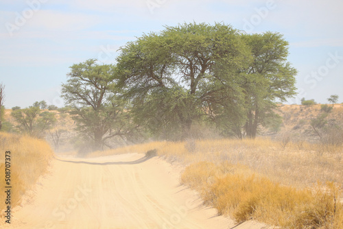 Open dirt road and dust, Kgalagadi, South Africa