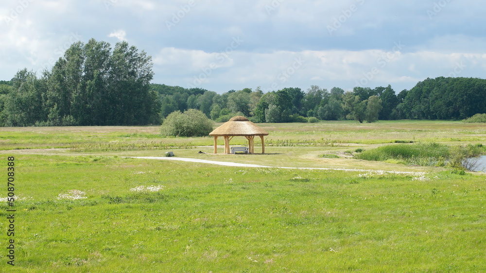 Obraz premium landscape 