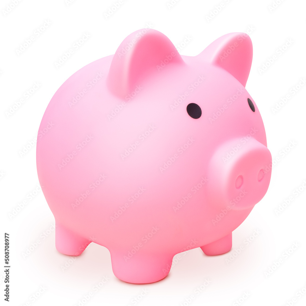 Pink piggy bank for banknotes and coins isolated on a white background. The concept of investment and financial savings for retirement and vacation