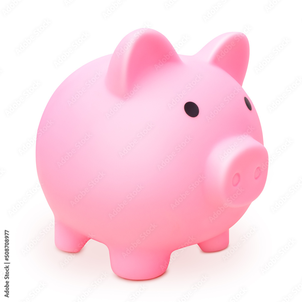 Pink piggy bank for banknotes and coins isolated on a white background. The concept of investment and financial savings for retirement and vacation Pink piggy bank for banknotes and coins isolated on a white background. The concept of investment and financial savings for retirement and vacation