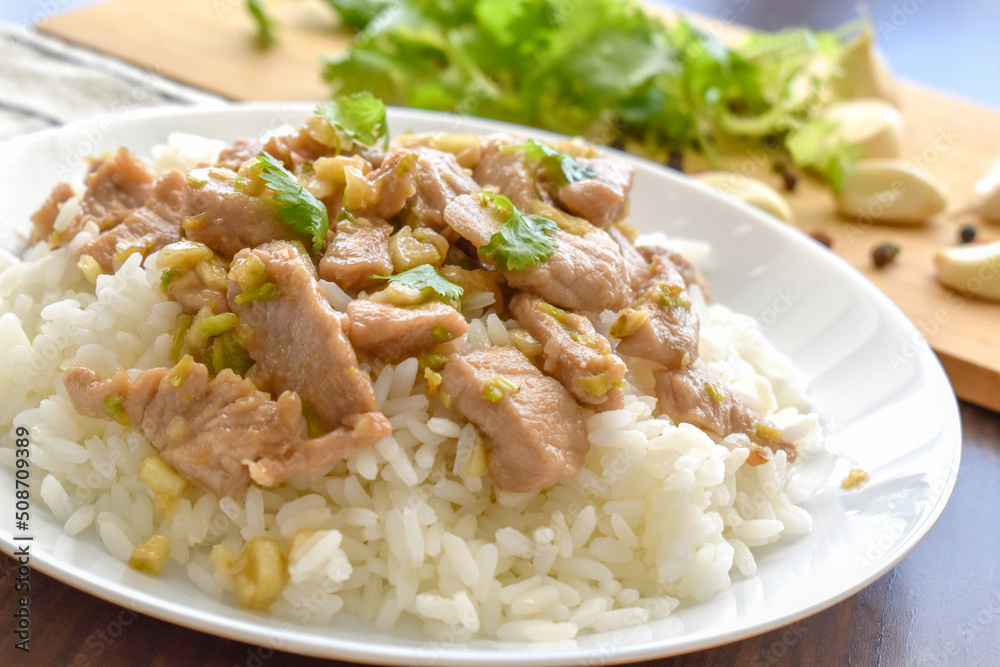 Stir fried pork with garlic topped on rice. Asian food style.