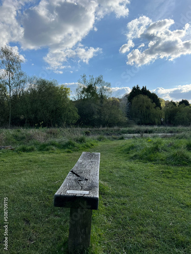 wooden bench in the park