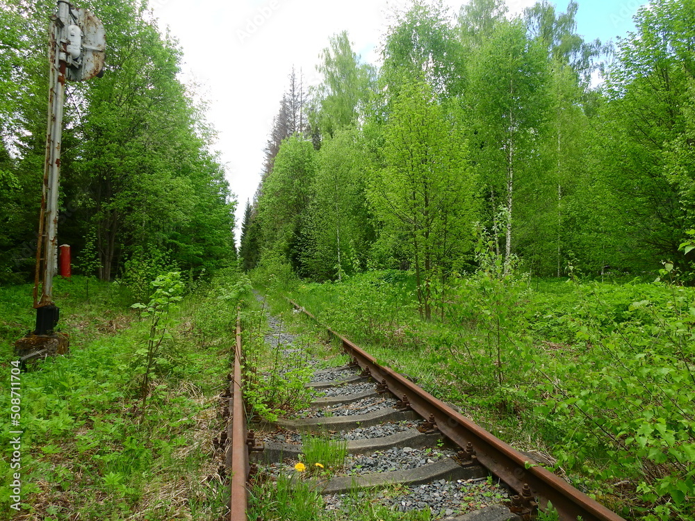 Obraz premium Abandoned railroad track reclaimed by forest