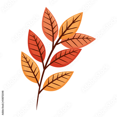autumn branch with leafs © Gstudio