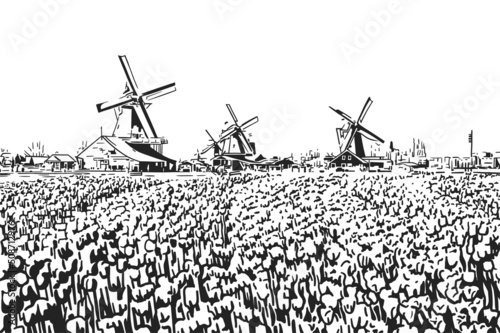 Field full of flowers in the land of windmills vector illustration