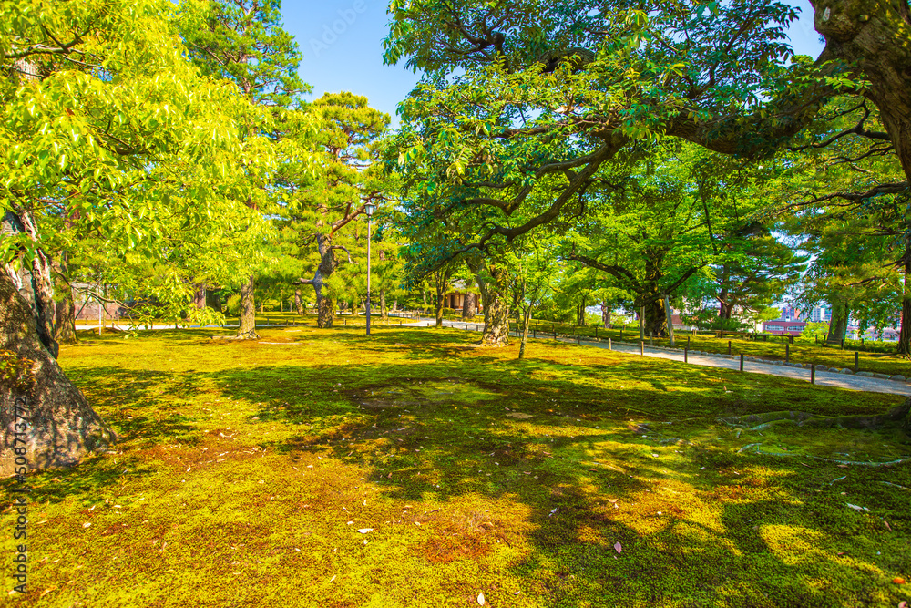 Obraz premium 石川県金沢市 新緑の兼六園
