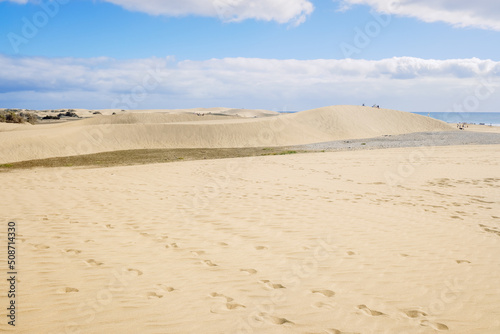 Sand dunes on the Canarian beach of Maspalomas. © Joaquin Corbalan