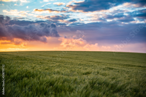 Farm field in sunset colours and cloudy skies