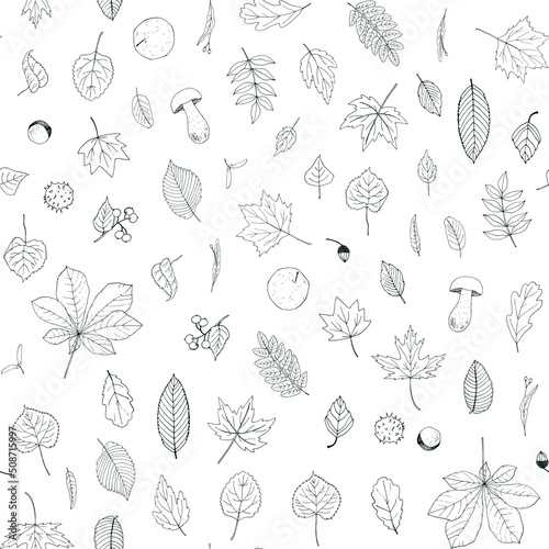 Autumn leaves and mushrooms line vector seamless pattern