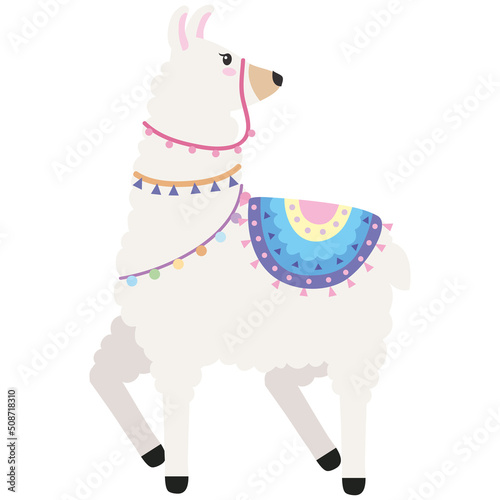 llama walking wild animal