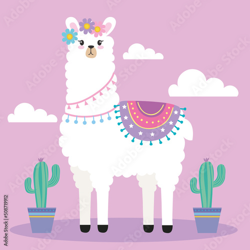 llama and cactus