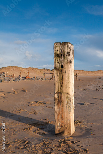 Old wooden groyne at crow point beach, Devon, UK