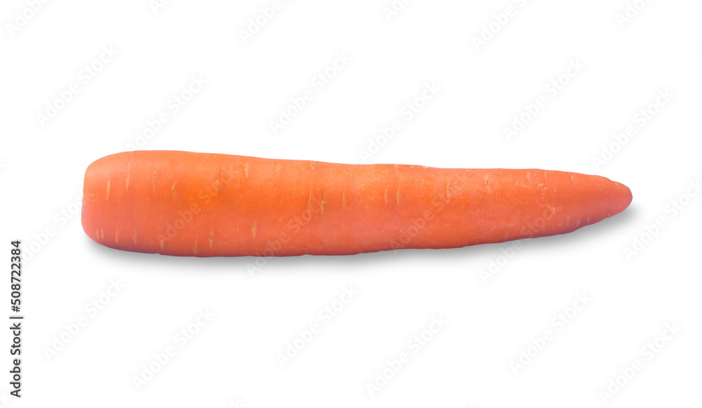 Single fresh orange carrot vegetable isolated on white background with clipping path Single fresh orange carrot vegetable isolated on white background with clipping path