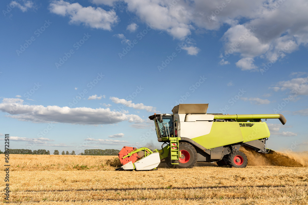 Fototapeta premium Combine harvester harvest rice wheat on a farm. Image of agriculture.
