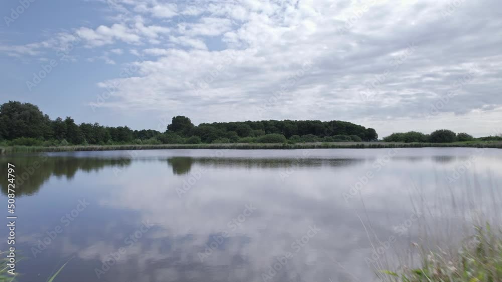 Aerial view over a fishing pond, Flying low between two benches in a park, over the ground and lake. Waterfront with common reeds and aquatic plants, surrounded by woods. Blue sky clouds reflection Aerial view over a fishing pond, Flying low between two benches in a park, over the ground and lake. Waterfront with common reeds and aquatic plants, surrounded by woods. Blue sky clouds reflection