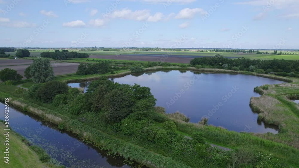 Drone flies slowly forward motion over the pond with swampy waterfronts with some trees, reeds shrubs, bushes and woods. Dutch rural nature, with farmlands in the background. Blue sky and white clouds Drone flies slowly forward motion over the pond with swampy waterfronts with some trees, reeds shrubs, bushes and woods. Dutch rural nature, with farmlands in the background. Blue sky and white clouds