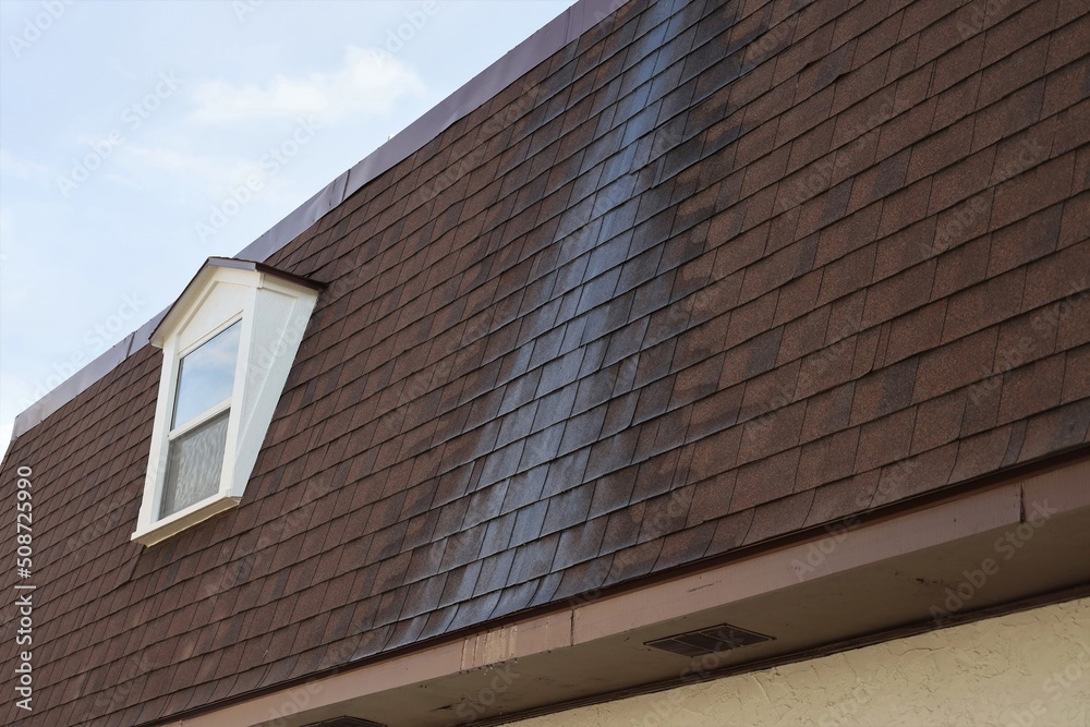 Mansard Shingles with Water Stain and Dormer Mansard Shingles with Water Stain and Dormer