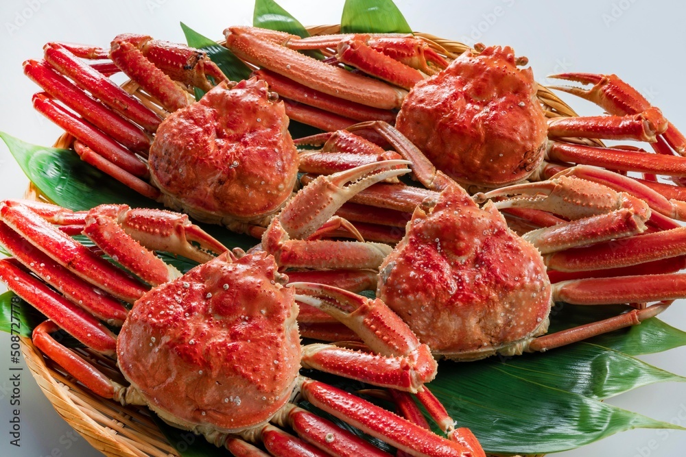 美味しいズワイカニ