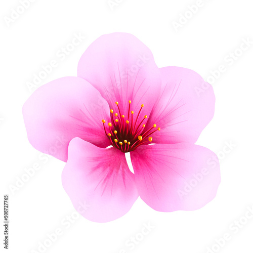 Cherry blossom watercolor hand drawn. illustration of sakura flower for spring greeting card, botanical illustration.