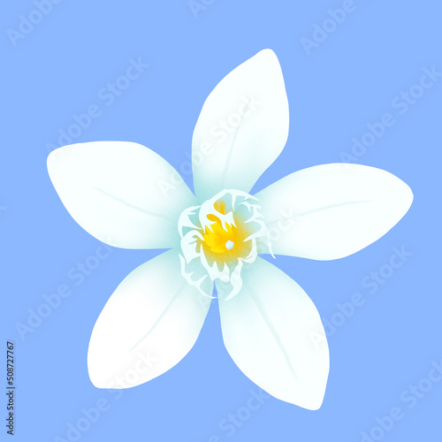 Watercolor flower hand drawn. illustration of flower for spring greeting card, botanical illustration.