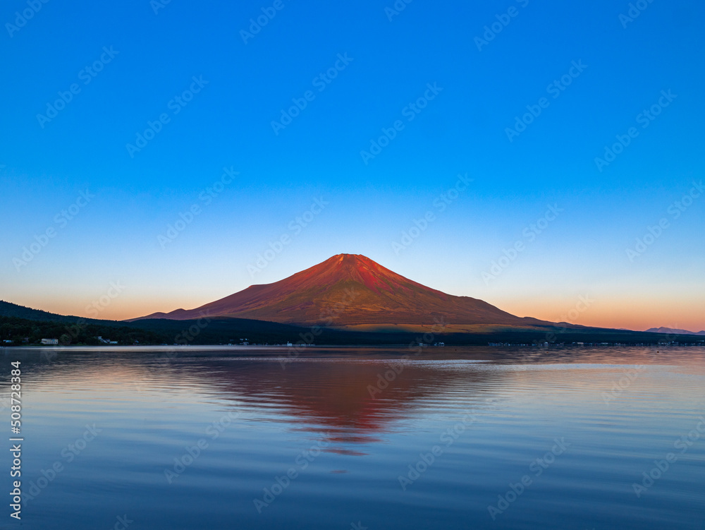 真夏の富士山と花々