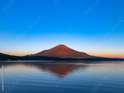 真夏の富士山と花々 © 摩訶不思議