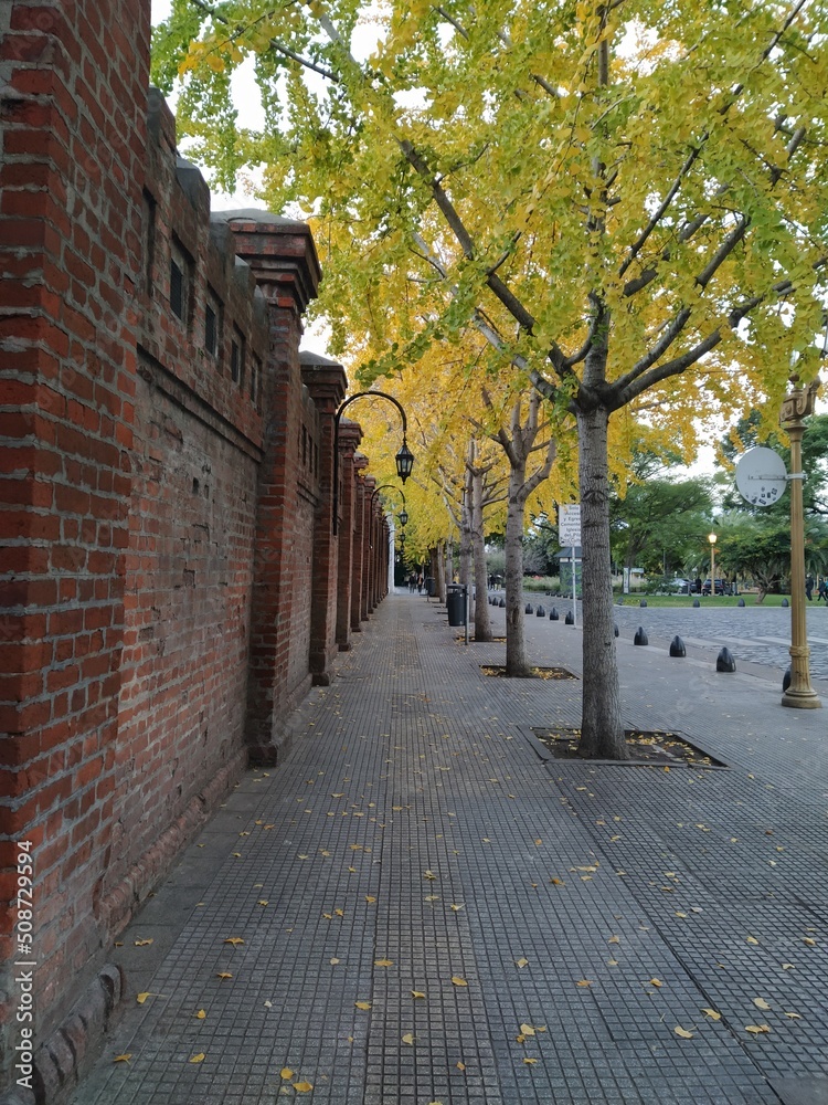 custom made wallpaper toronto digitalautumn in the city